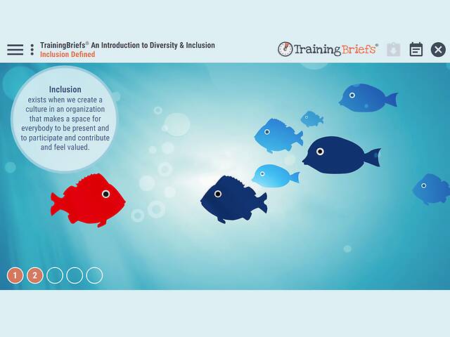 TrainingBriefs® An Introduction to Diversity & Inclusion